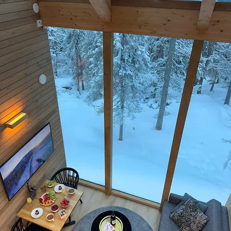 Auroras Kettu Holiday home Syote