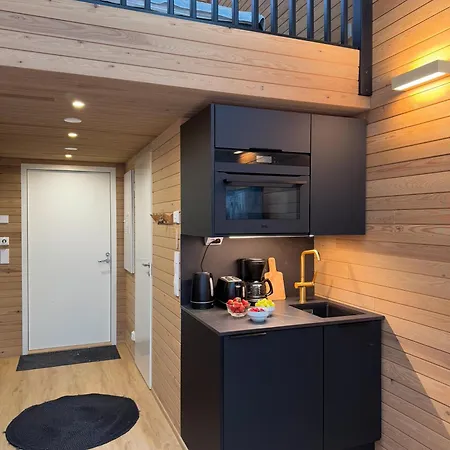 Auroras Kettu Holiday home Syote